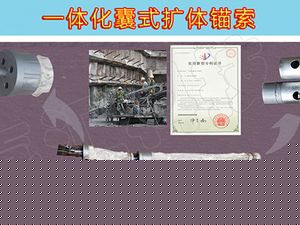 一體化囊式擴(kuò)體錨索